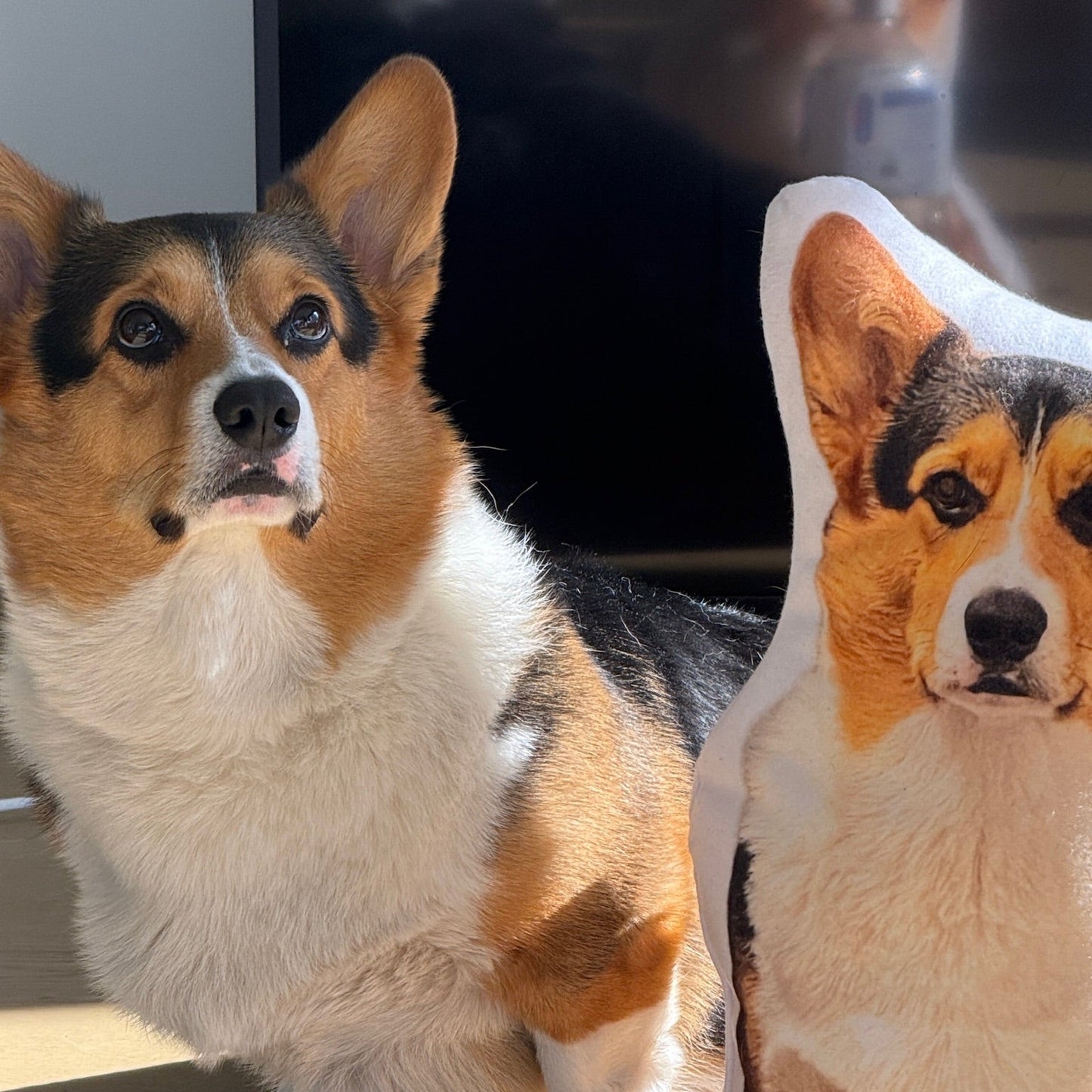 Life-Sized Custom Pet Pillow