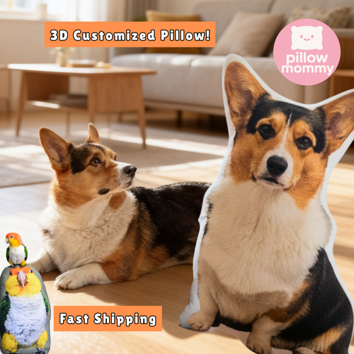 Customized Pet Pillow