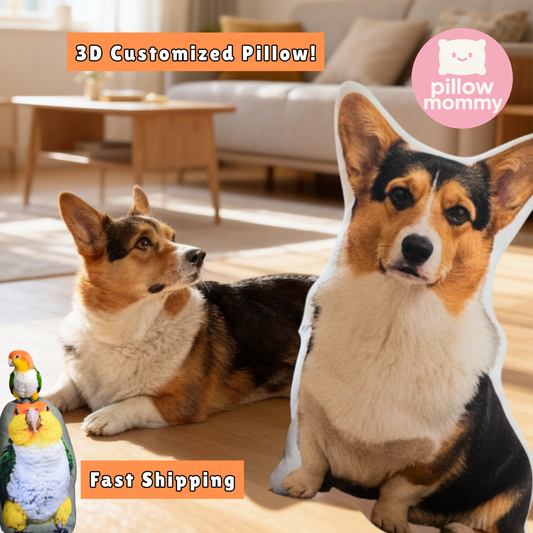 Customized Pet Pillow