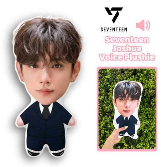 Seventeen💎 Joshua Talking Plushie