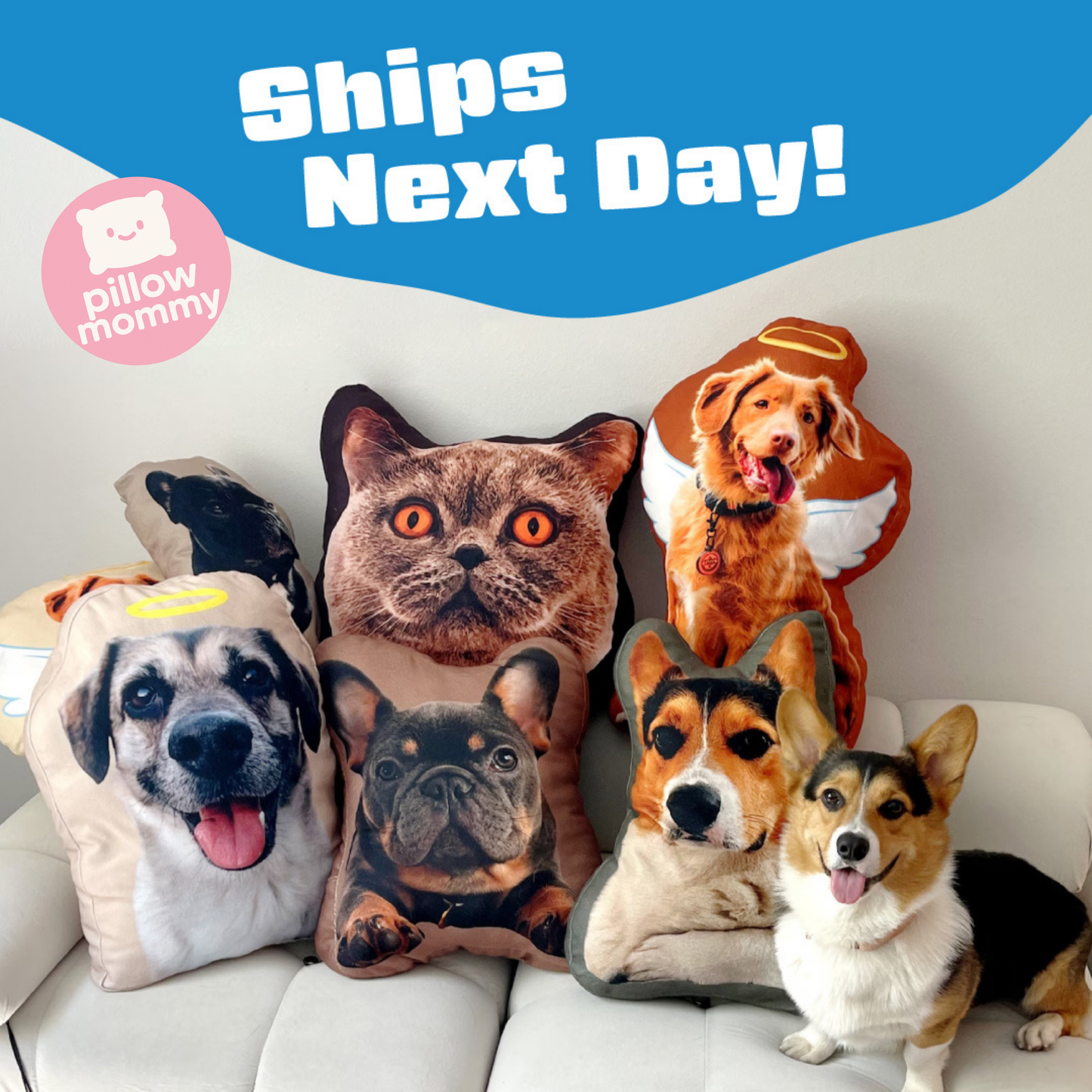 Customized Pet Pillow