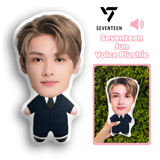 Seventeen💎 Jun Talking Plushie