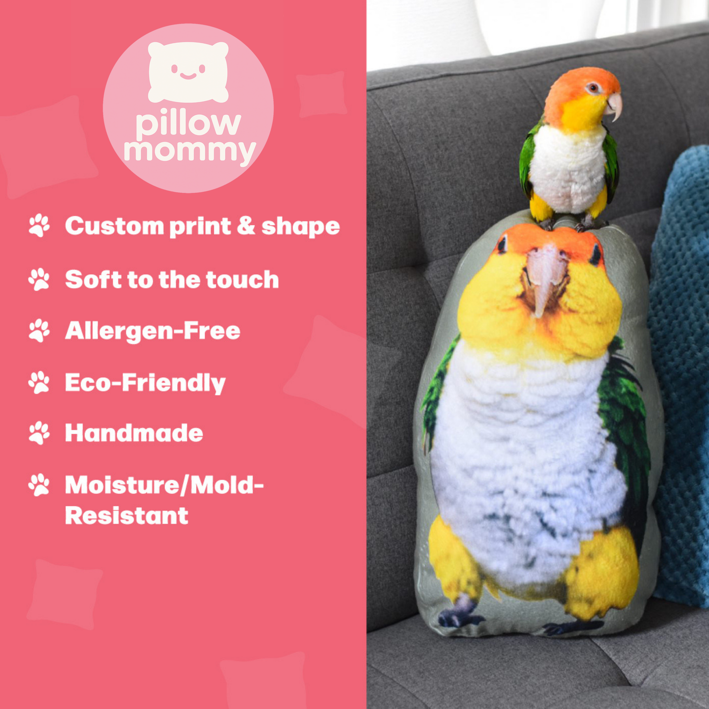 Customized Pet Pillow