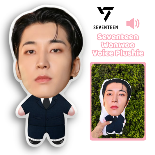 Seventeen💎 Wonwoo Talking Plushie