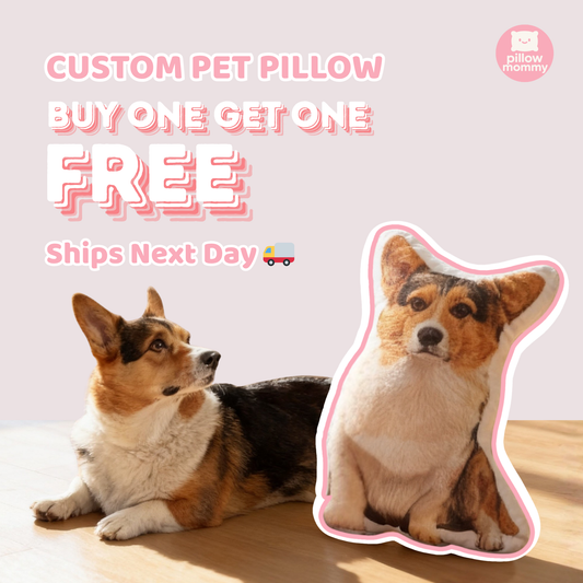Customized Pet Pillow