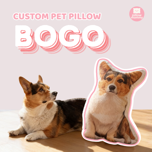 Customized Pet Pillow